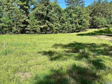 Lake Lot For Sale in Centre, Alabama