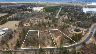 Lake Lot For Sale in Nekoosa, Wisconsin