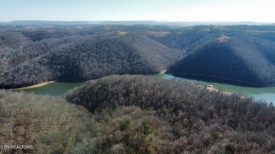 10+ Acres on Norris Lake - photo 2