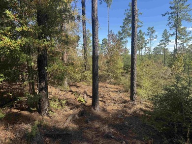Lake Sam Rayburn  Lot For Sale in Brookeland Texas