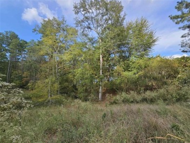 Lake Lot For Sale in Toccoa, Georgia