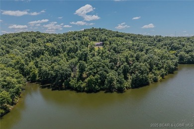 Spacious 1.20 acres and 80' of lakefront in a reg no wake cove - photo 22