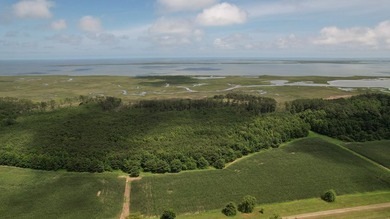 Beautiful 713-acre Oceanside Waterfront Farm & Forest - photo 2