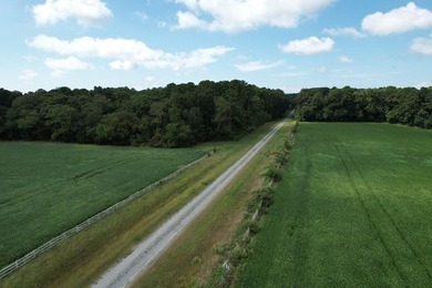 Beautiful 713-acre Oceanside Waterfront Farm & Forest - photo 3