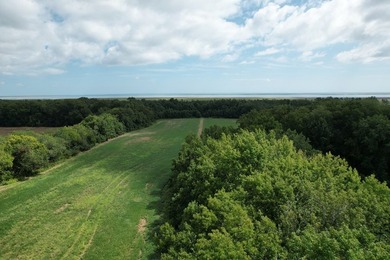 Beautiful 713-acre Oceanside Waterfront Farm & Forest - photo 4