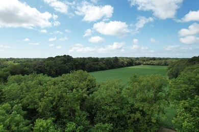 Beautiful 713-acre Oceanside Waterfront Farm & Forest - photo 6