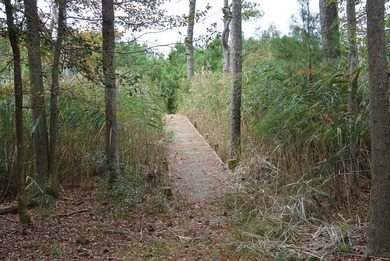 Beautiful 713-acre Oceanside Waterfront Farm & Forest - photo 7