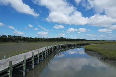 Beautiful 713-acre Oceanside Waterfront Farm & Forest - photo 8