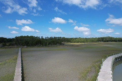 Beautiful 713-acre Oceanside Waterfront Farm & Forest - photo 9