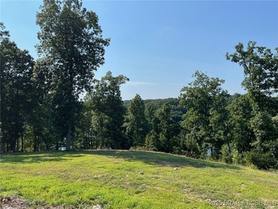 Spacious 1.20 acres and 80' of lakefront in a reg no wake cove - photo 37