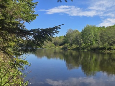 Beautiful, Peaceful and Private River/Water Front lot. 3.5 acres - photo 1