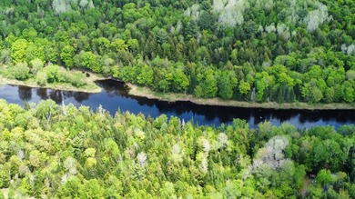 Beautiful, Peaceful and Private River/Water Front lot. 3.5 acres - photo 2