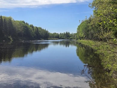 Beautiful, Peaceful and Private River/Water Front lot. 3.5 acres - photo 7
