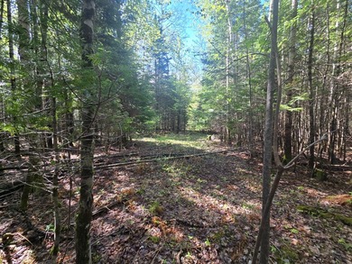 Beautiful, Peaceful and Private River/Water Front lot. 3.5 acres - photo 8
