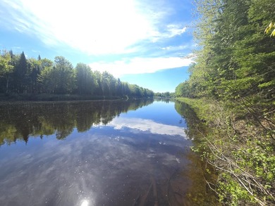 Beautiful, Peaceful and Private River/Water Front lot. 3.5 acres - photo 10