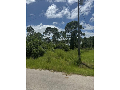 Lehigh Acres Area Lot For Sale in Lehigh Acres Florida
