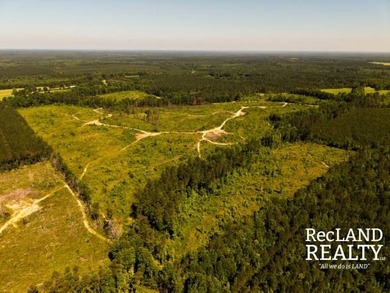 104 +/- acres Recreational, Hunting, & Potential Homesite Tract - photo 11