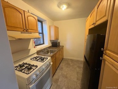Exclusive Opportunity in Marine Park, Brooklyn! Welcome to this - photo 12