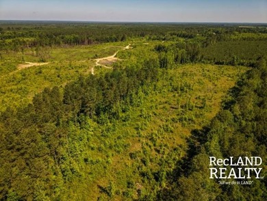 104 +/- acres Recreational, Hunting, & Potential Homesite Tract - photo 12