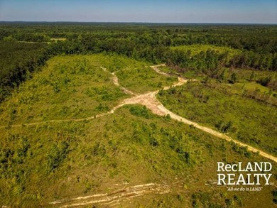 104 +/- acres Recreational, Hunting, & Potential Homesite Tract - photo 13