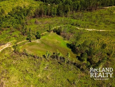 104 +/- acres Recreational, Hunting, & Potential Homesite Tract - photo 14