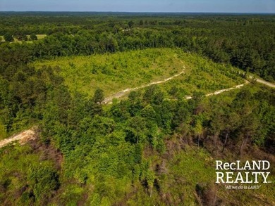 104 +/- acres Recreational, Hunting, & Potential Homesite Tract - photo 15