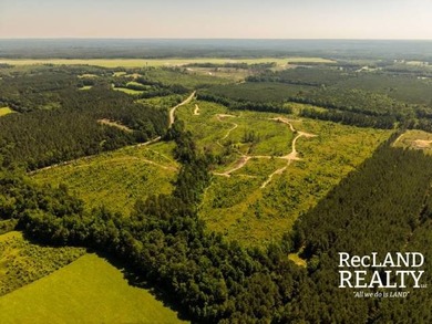104 +/- acres Recreational, Hunting, & Potential Homesite Tract - photo 16