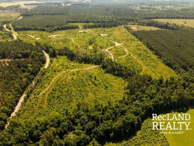 104 +/- acres Recreational, Hunting, & Potential Homesite Tract - photo 17