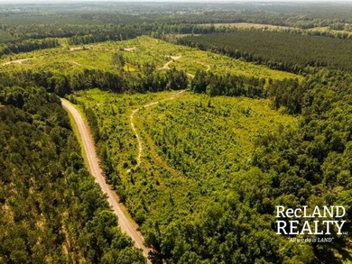 104 +/- acres Recreational, Hunting, & Potential Homesite Tract - photo 18