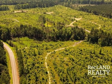 104 +/- acres Recreational, Hunting, & Potential Homesite Tract - photo 19