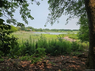 Exclusive Opportunity in Marine Park, Brooklyn! Welcome to this - photo 20