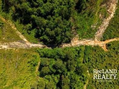 104 +/- acres Recreational, Hunting, & Potential Homesite Tract - photo 20