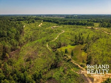 104 +/- acres Recreational, Hunting, & Potential Homesite Tract - photo 21