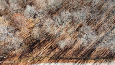 10+ Acres on Norris Lake - photo 5