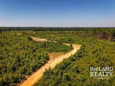 104 +/- acres Recreational, Hunting, & Potential Homesite Tract - photo 22