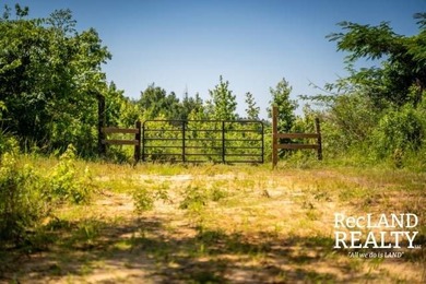 104 +/- acres Recreational, Hunting, & Potential Homesite Tract - photo 23