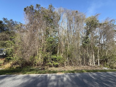 Discover the perfect spot to build your dream home! This level - photo 25