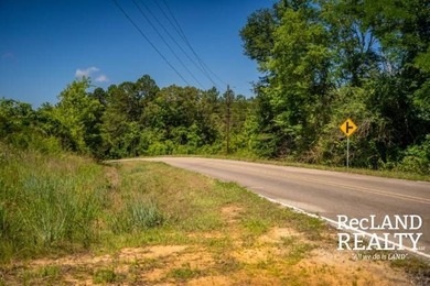 104 +/- acres Recreational, Hunting, & Potential Homesite Tract - photo 25
