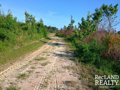 104 +/- acres Recreational, Hunting, & Potential Homesite Tract - photo 28