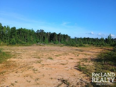 104 +/- acres Recreational, Hunting, & Potential Homesite Tract - photo 29