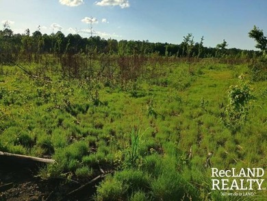 104 +/- acres Recreational, Hunting, & Potential Homesite Tract - photo 30