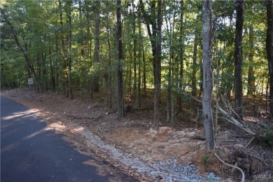 Lake Lot For Sale in Mccalla, Alabama