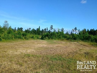 104 +/- acres Recreational, Hunting, & Potential Homesite Tract - photo 32