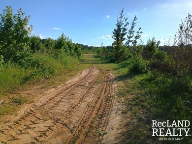 104 +/- acres Recreational, Hunting, & Potential Homesite Tract - photo 33