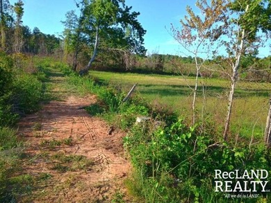 104 +/- acres Recreational, Hunting, & Potential Homesite Tract - photo 35