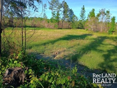 104 +/- acres Recreational, Hunting, & Potential Homesite Tract - photo 36