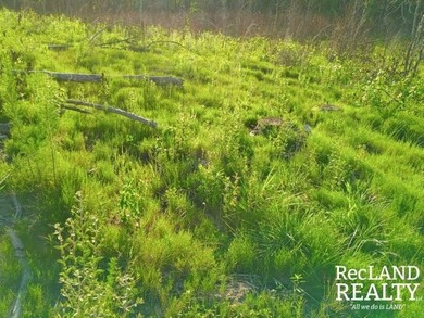 104 +/- acres Recreational, Hunting, & Potential Homesite Tract - photo 37