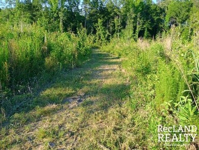 104 +/- acres Recreational, Hunting, & Potential Homesite Tract - photo 38