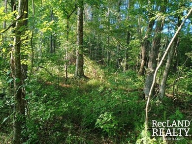 104 +/- acres Recreational, Hunting, & Potential Homesite Tract - photo 40