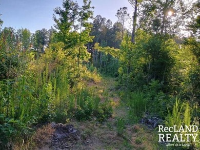 104 +/- acres Recreational, Hunting, & Potential Homesite Tract - photo 41